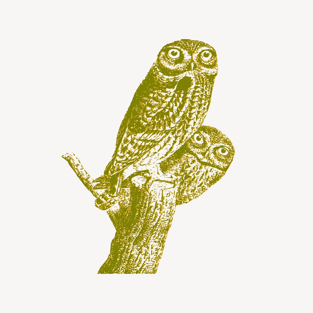 Owls collage element vector. Free public domain CC0 image.