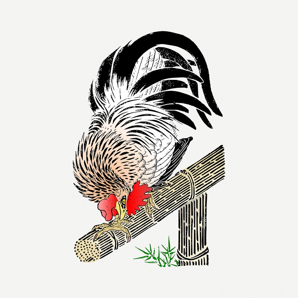 Rooster collage element psd. Free public domain CC0 image.