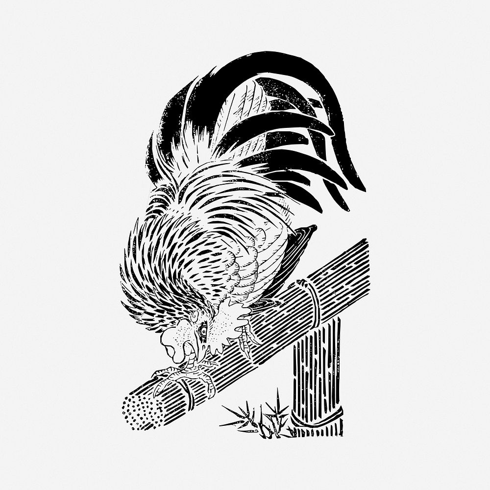 Chicken clipart, illustration. Free public domain CC0 image.
