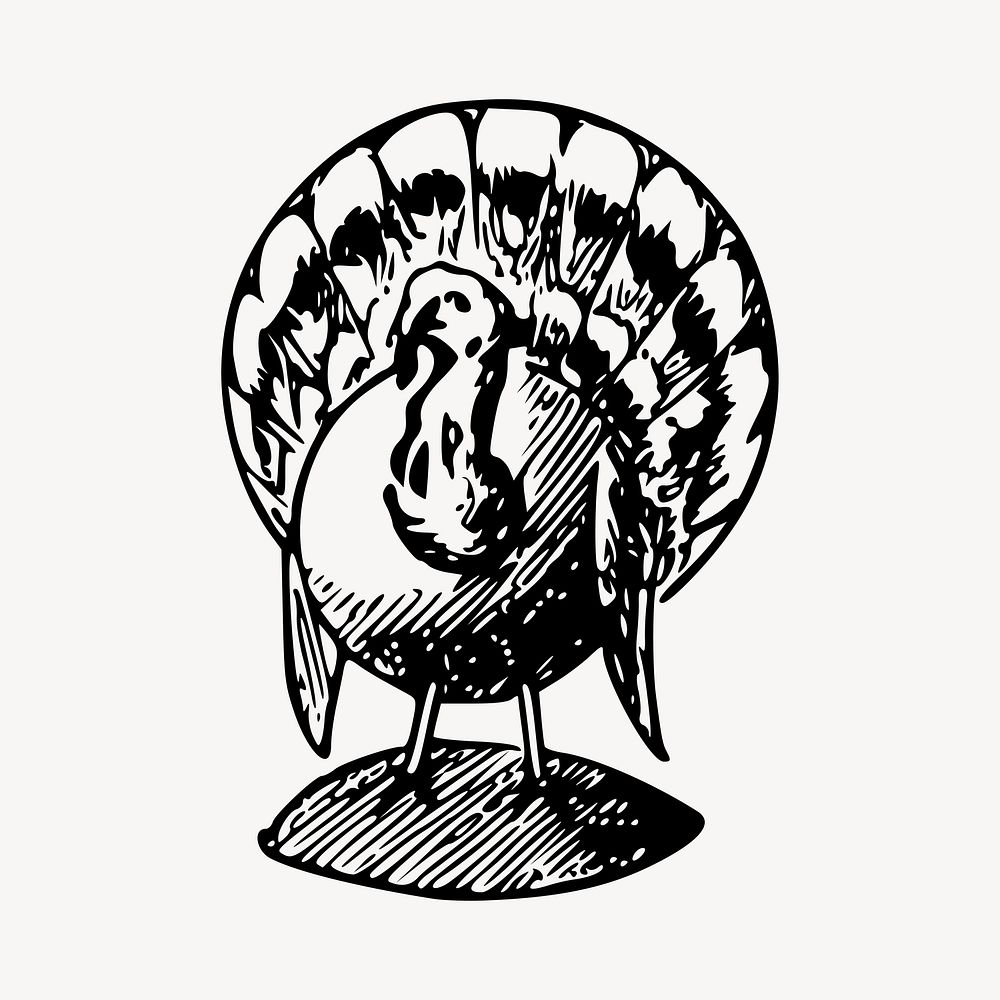 Turkey clipart, illustration vector. Free public domain CC0 image.