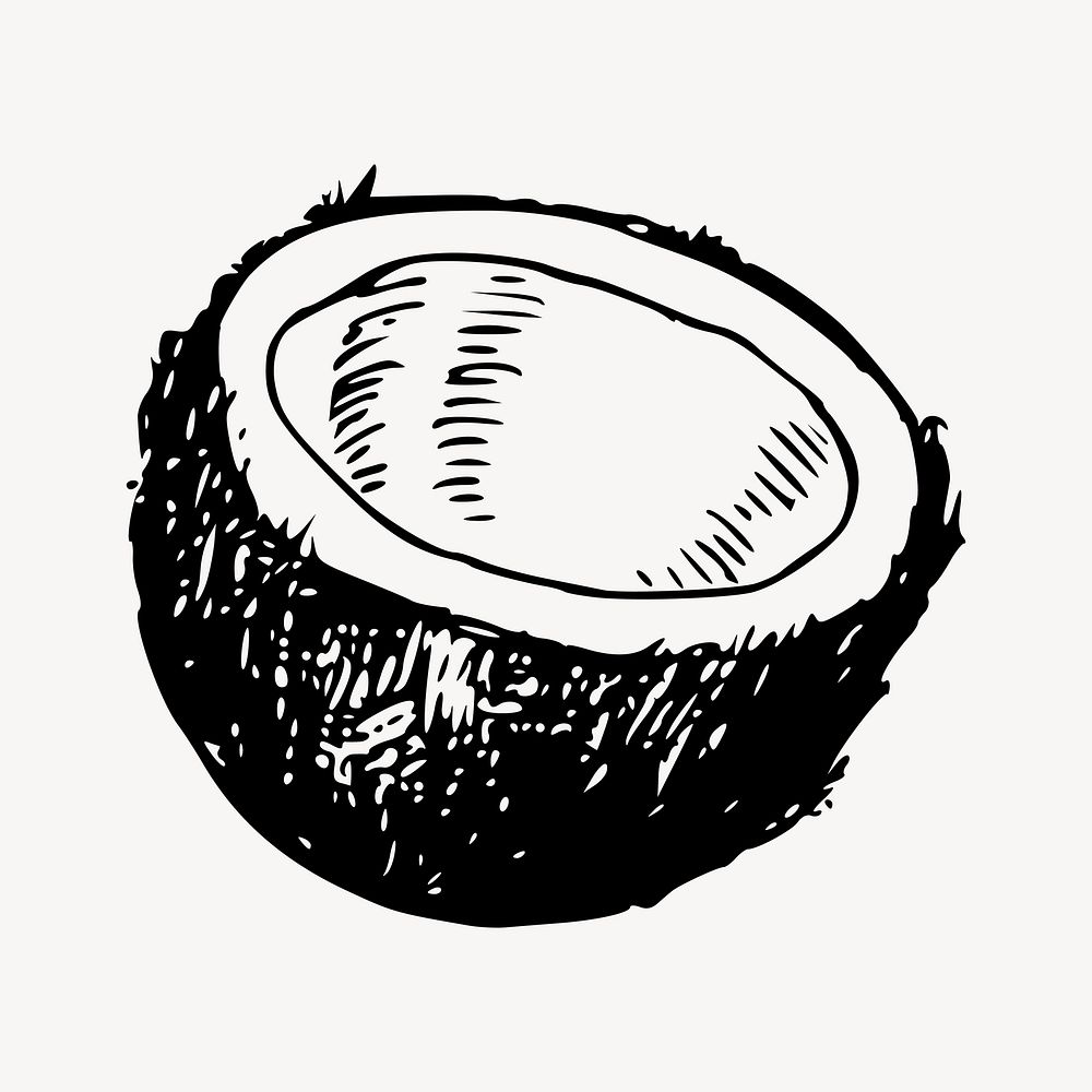 Coconut clipart, illustration vector. Free public domain CC0 image.
