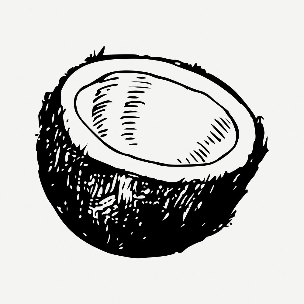 Coconut clipart, illustration psd. Free public domain CC0 image.