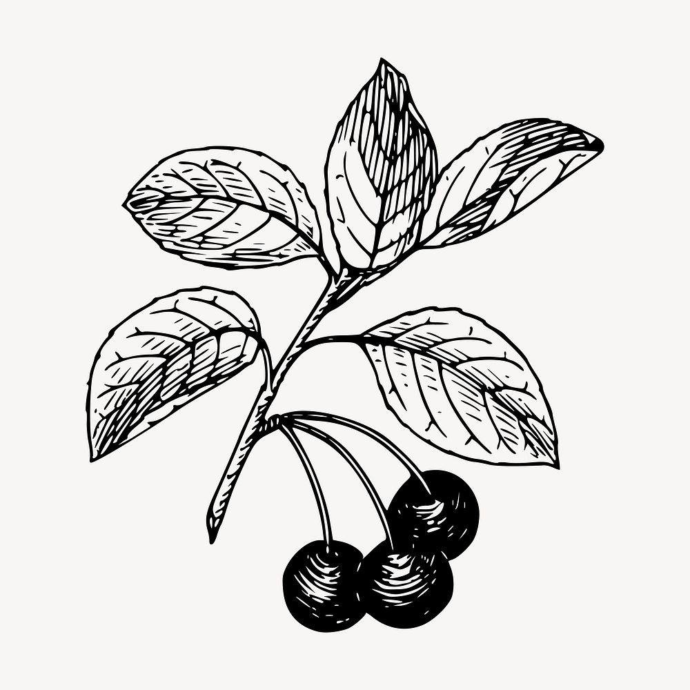 Berry branch clipart, illustration vector. Free public domain CC0 image.