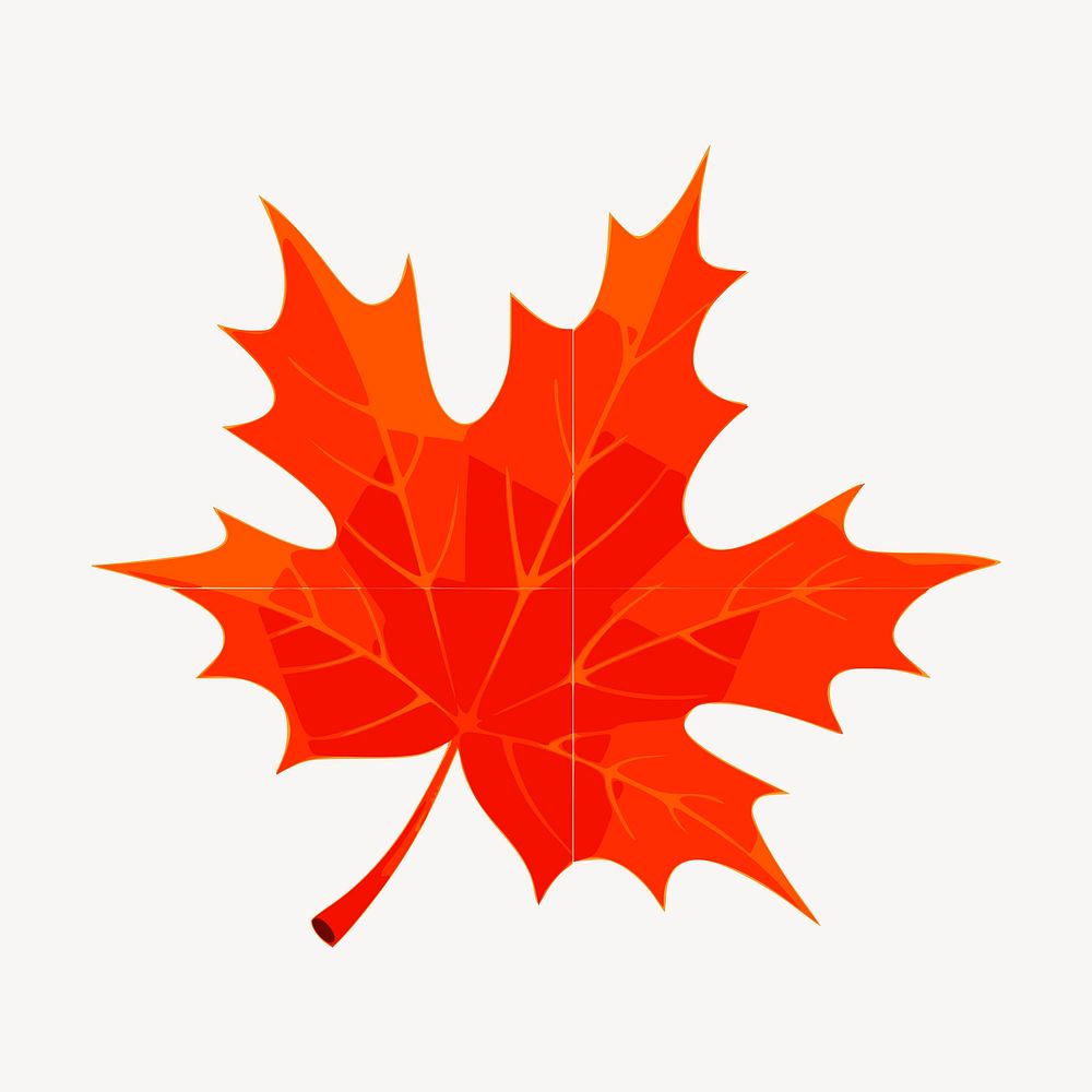 Maple leaf clipart, illustration vector. Free public domain CC0 image.