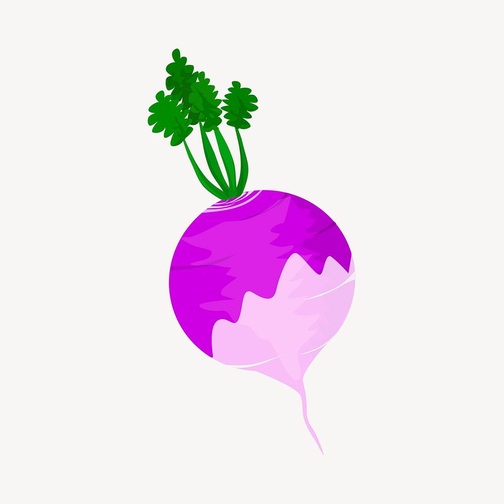Purple Turnip clipart, illustration psd. Free public domain CC0 image.