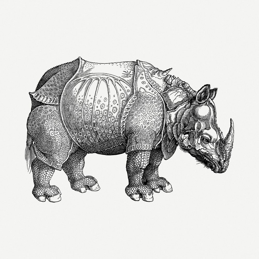 Armor rhinoceros clipart psd. Free public domain CC0 image.