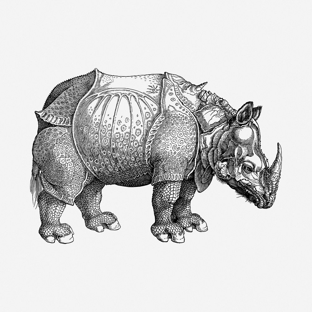 Armor rhinoceros illustration. Free public domain CC0 image.