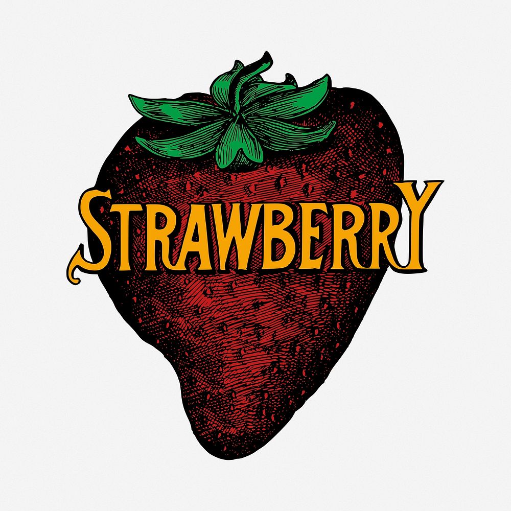 Strawberry illustration. Free public domain CC0 image.