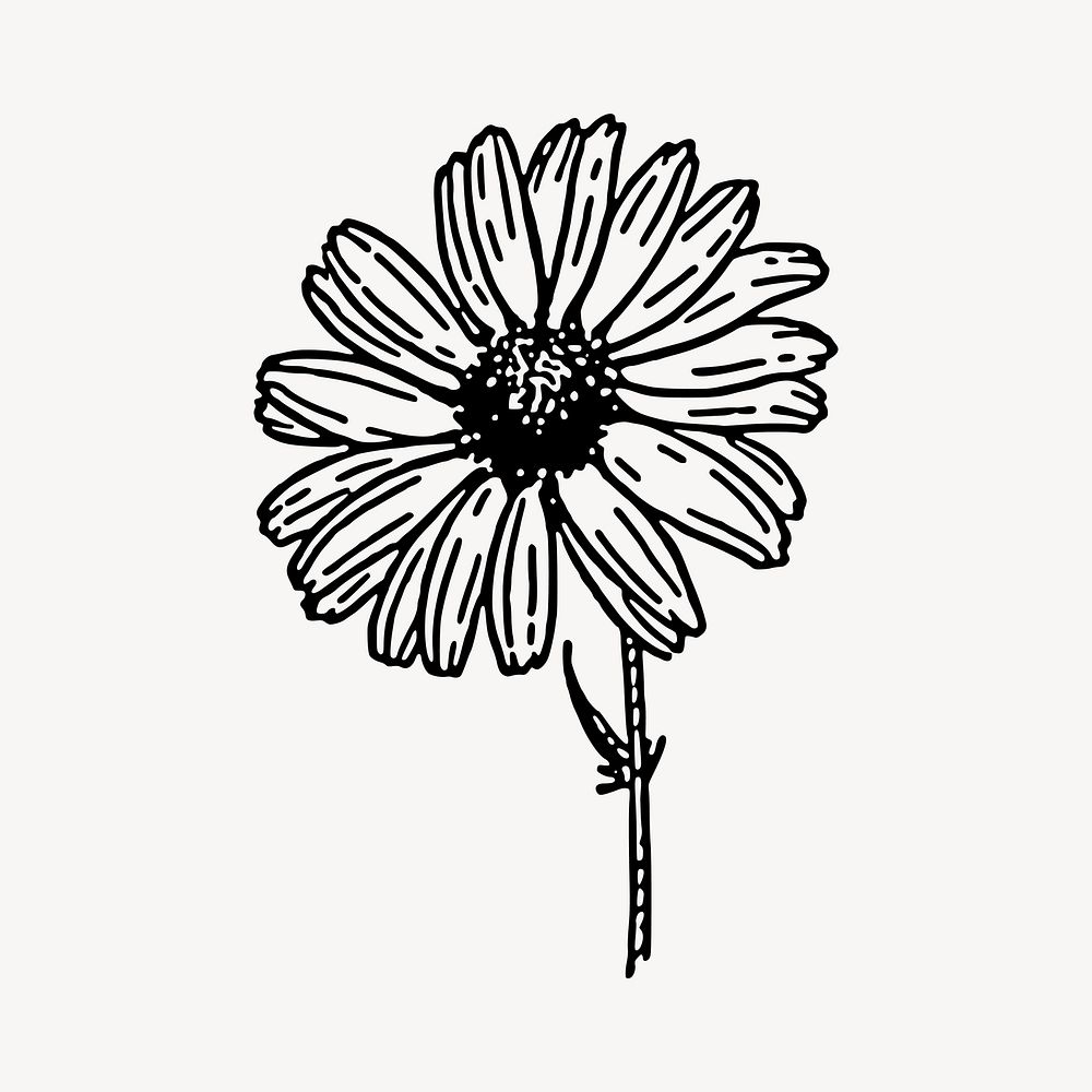 Flower clipart vector. Free public domain CC0 image.