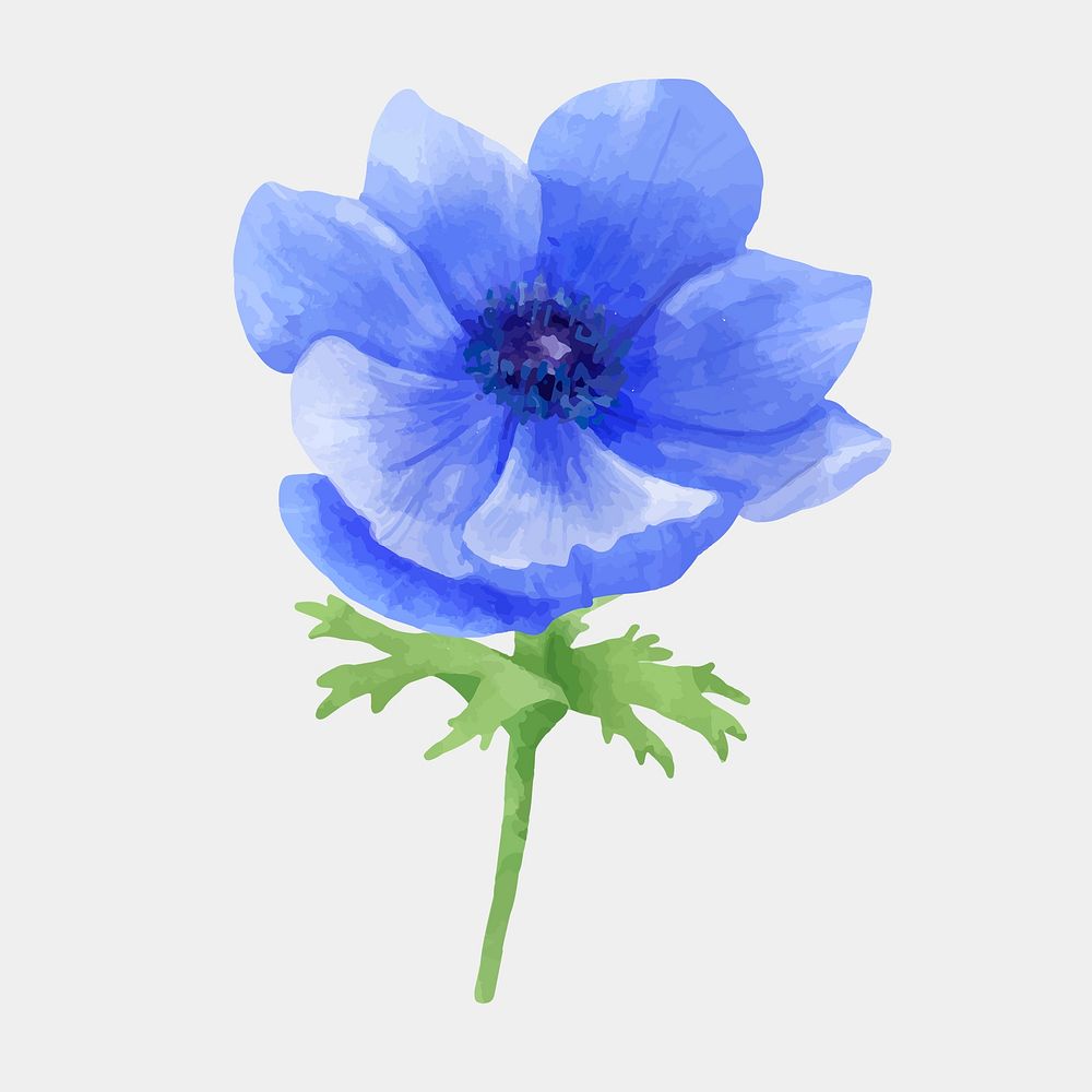 Blooming blue flower psd watercolor clipart