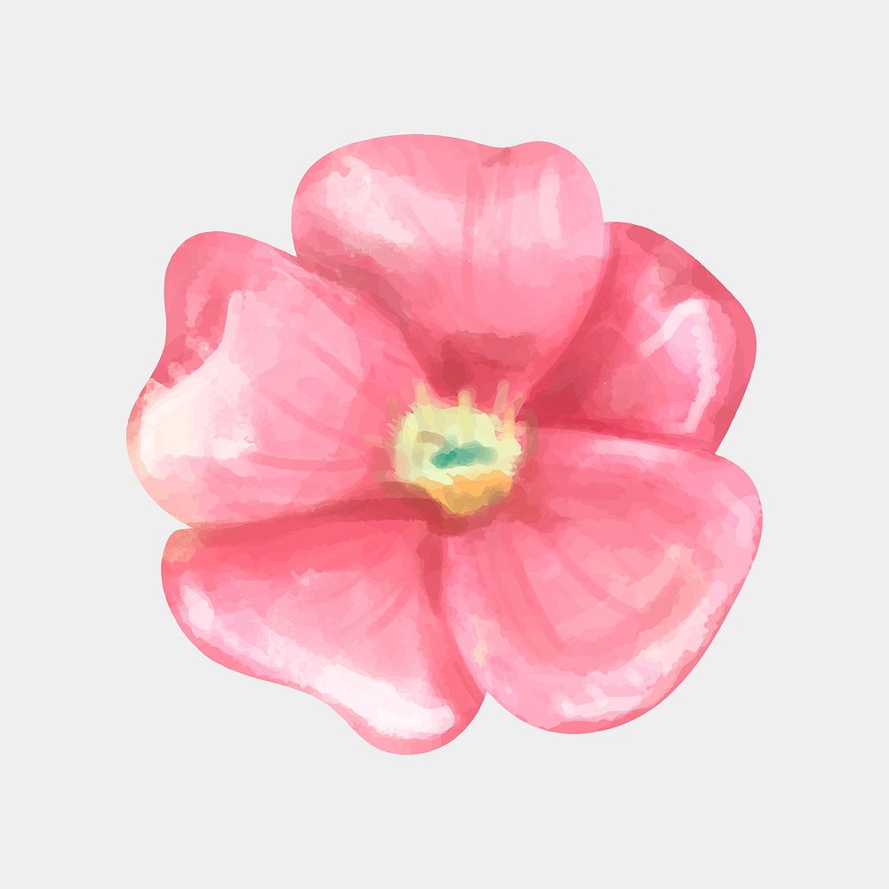 Blooming flower psd pink watercolor drawing botanical