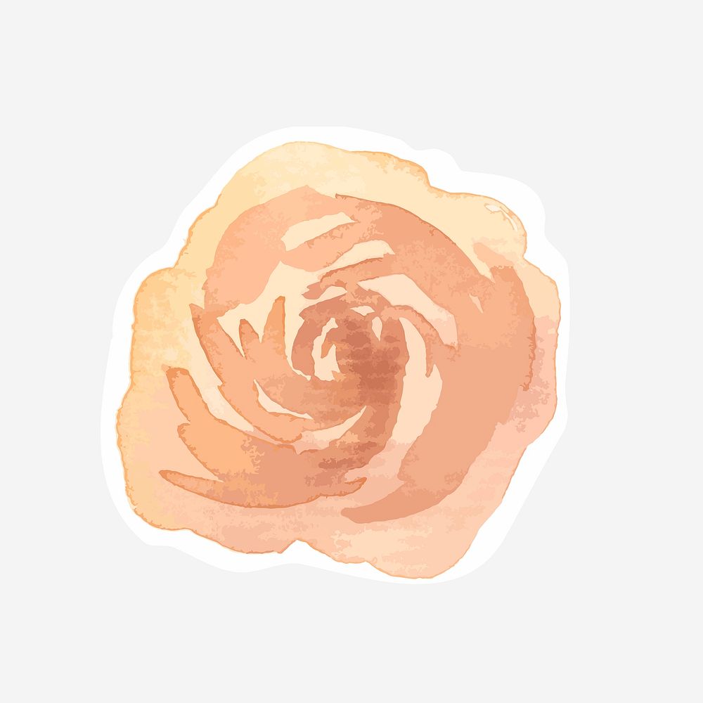 Orange peony psd flower drawing element graphic