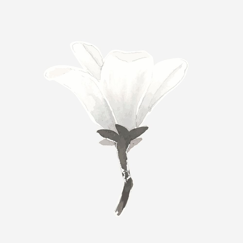 Watercolor white lily psd hand drawn sticker element
