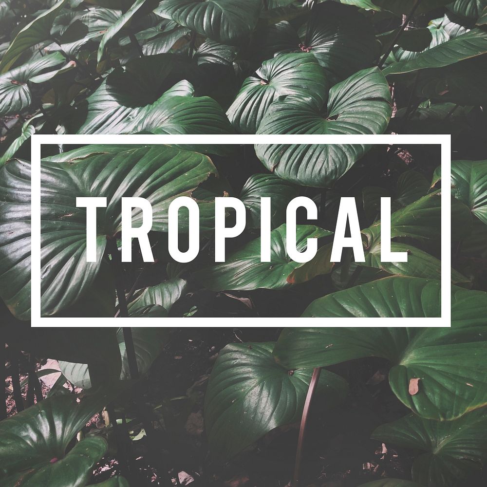Botanic Nature Tropical Green Word Graphic