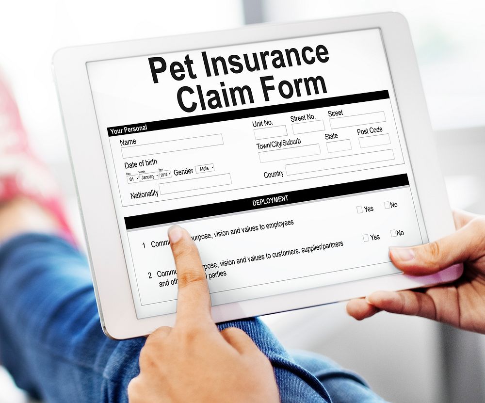 Pet Insurance Claim Form Concept