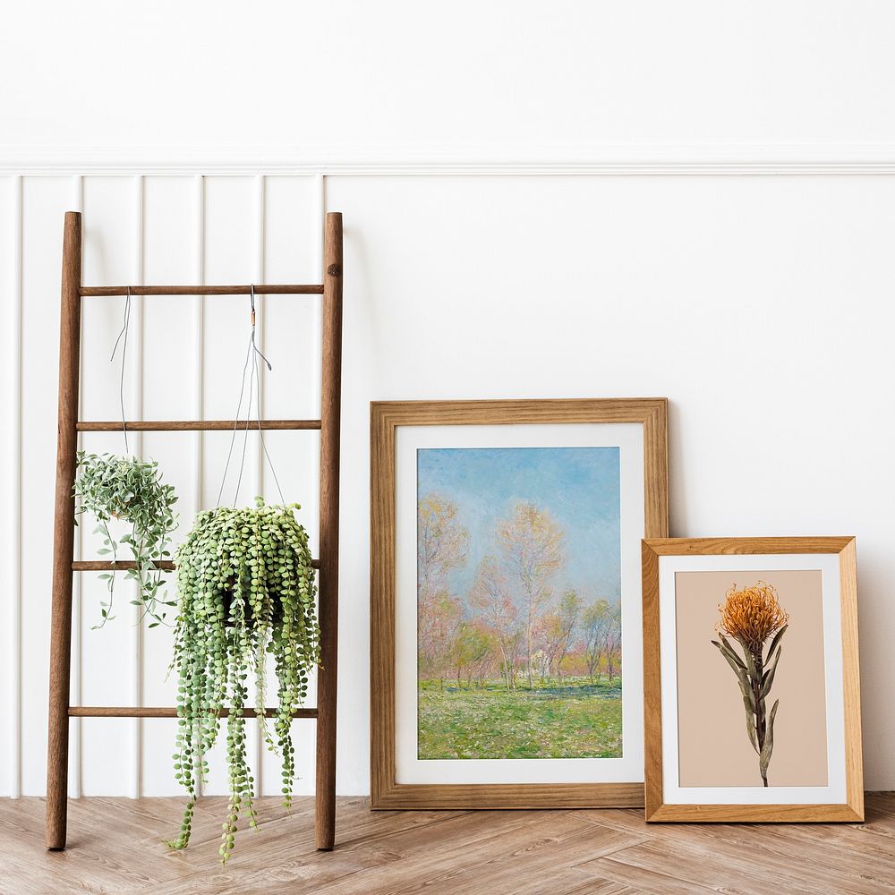Aesthetic photo frames, minimal home decorations