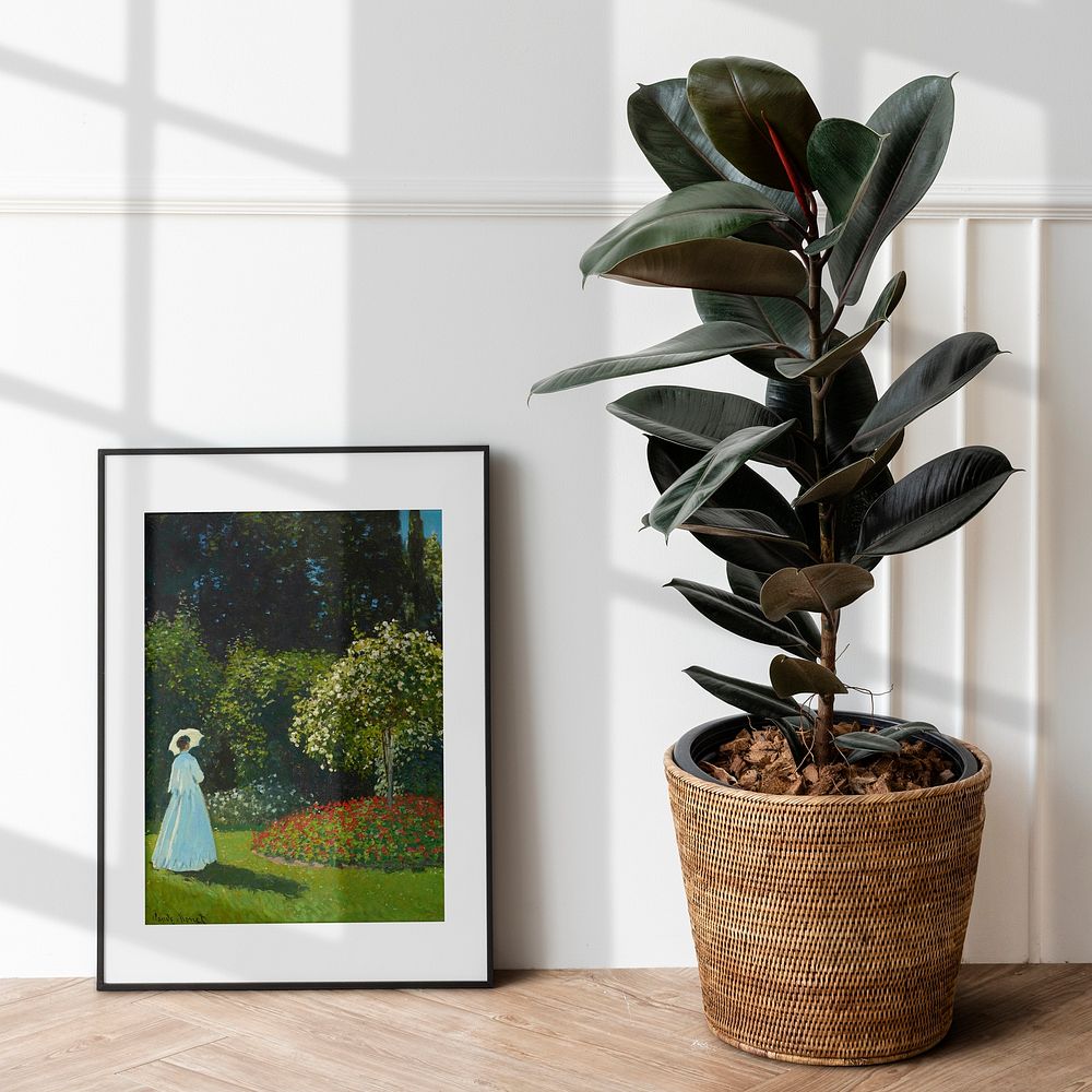 Picture frame and rubber plant on a wooden floor
