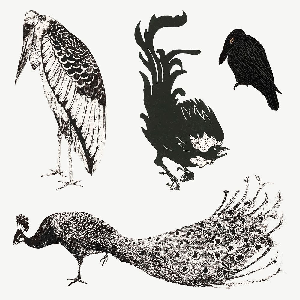 Vintage bird art print vector collection, remix from artworks by Theo van Hoytema