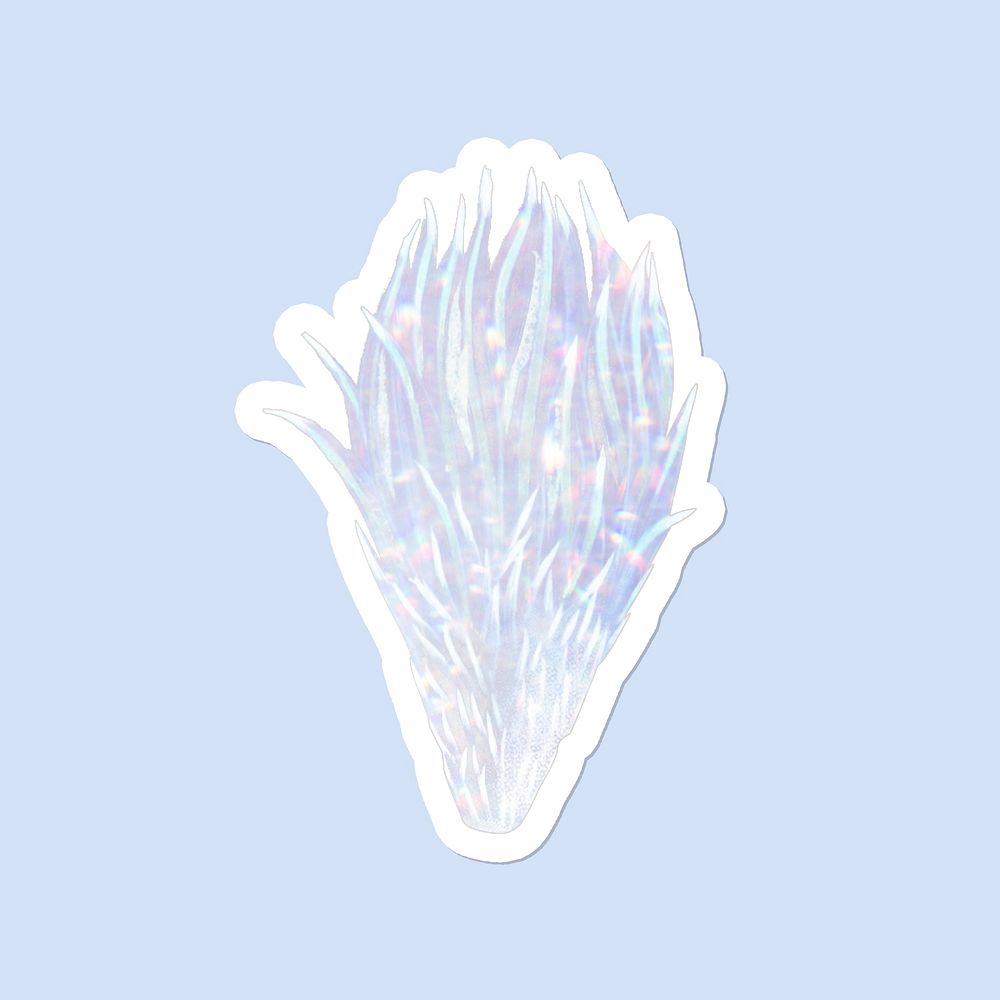 Holographic bishop's cap cactus flower sticker with white border