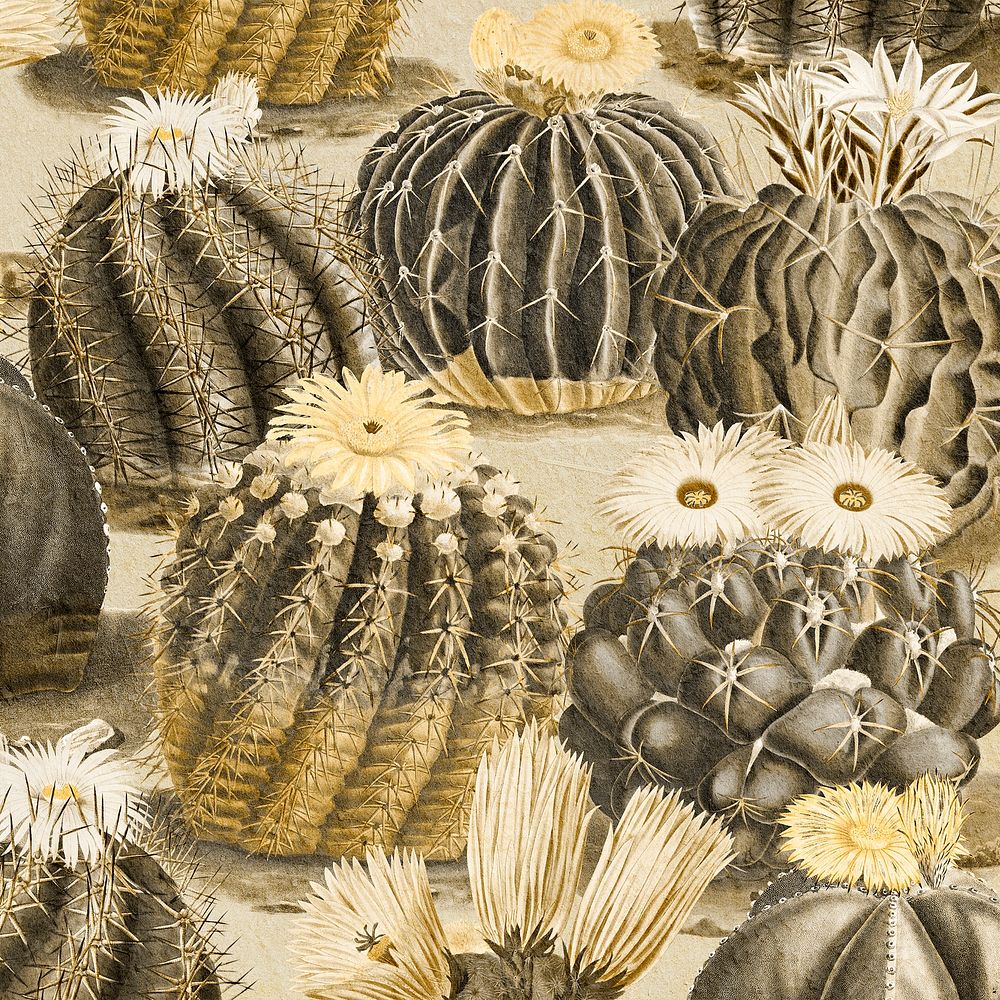 Vintage sepia cactus with flower illustration background