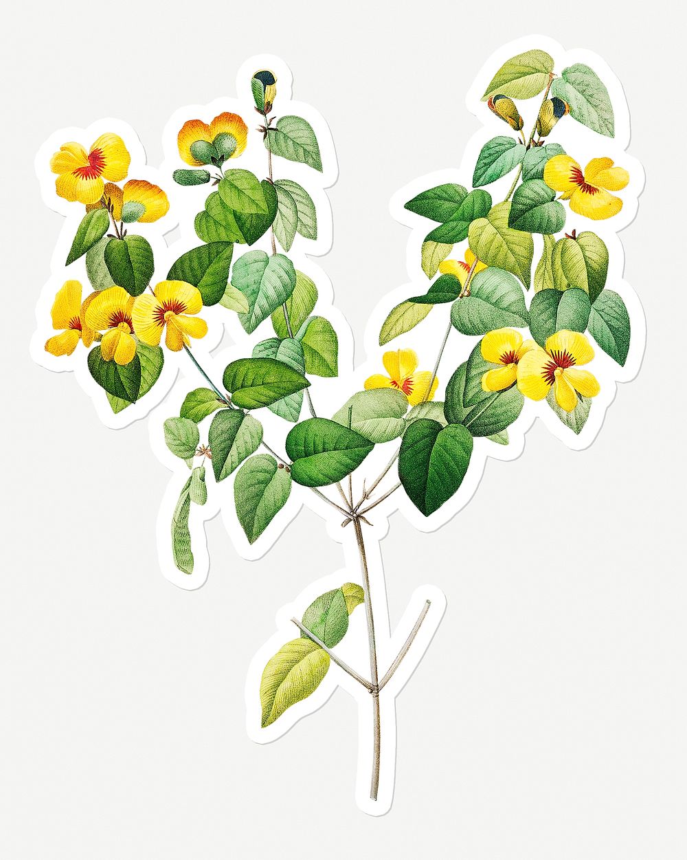 Handsome flat-pea flower sticker design resource 