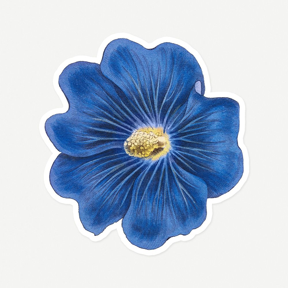 Vintage Alcea Rosea flower in blue sticker with white border