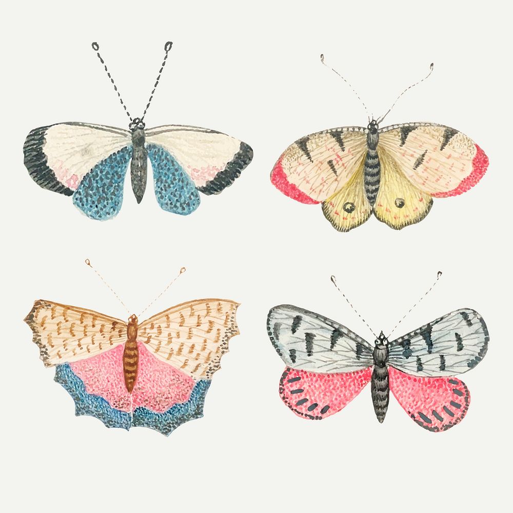 Vintage butterfly and moth watercolor illustration vector set remixed from the 18th-century artworks from the Smithsonian…