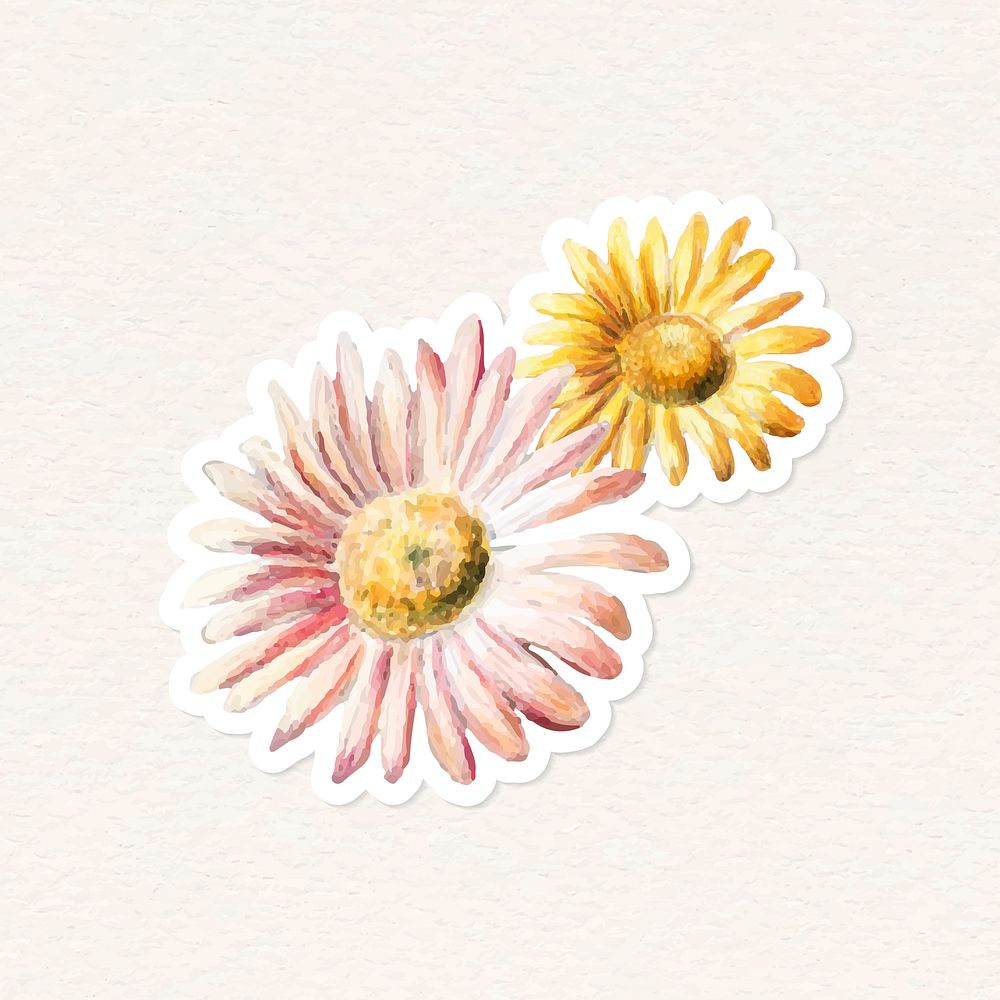 Daisy hand drawn vector flower cut out