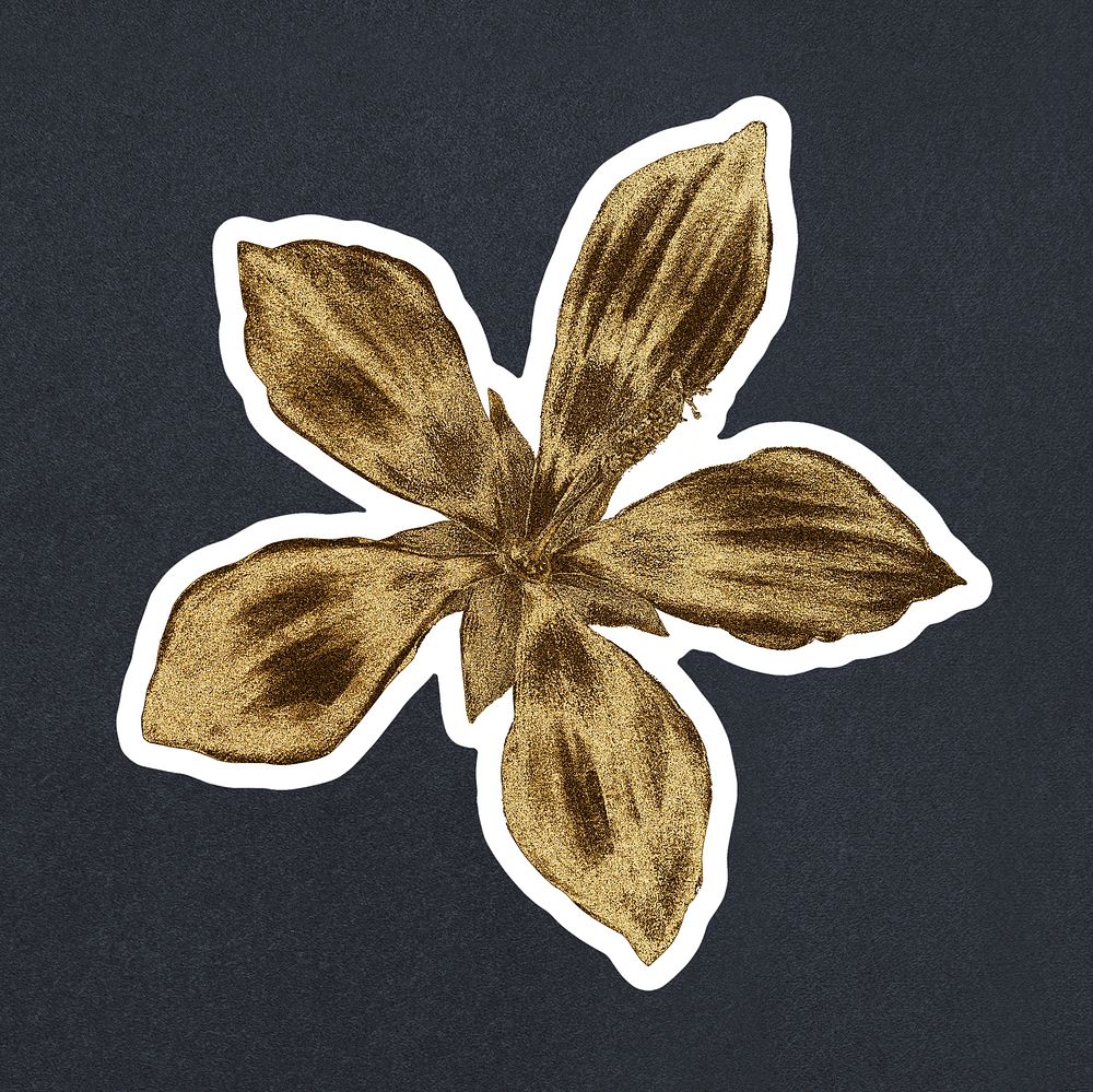 Vintage gold ketmia flower sticker with white border