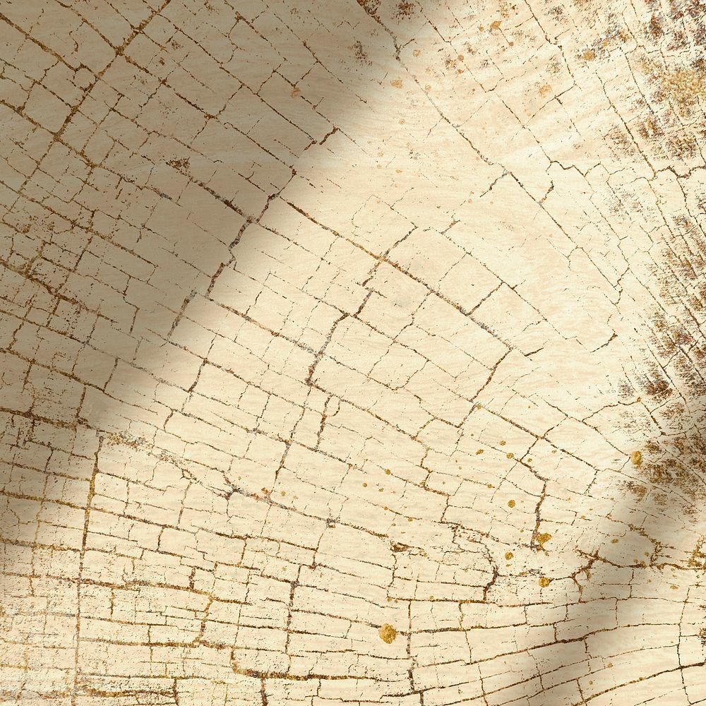 Tree rings textured design background