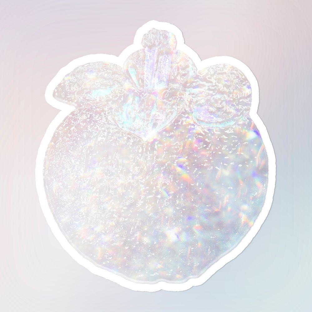 Sparkling silver mangosteen holographic style sticker illustration with white border