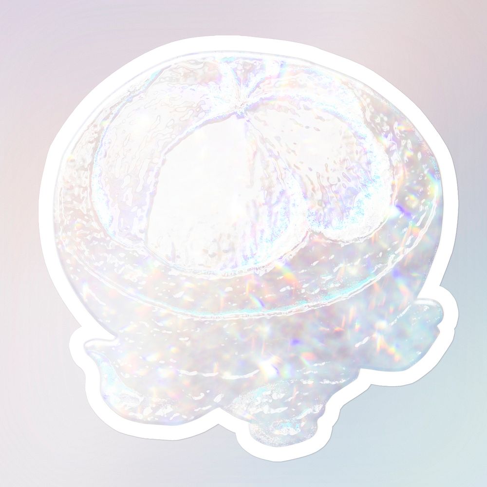 White holographic mangosteen sticker design resource illustration