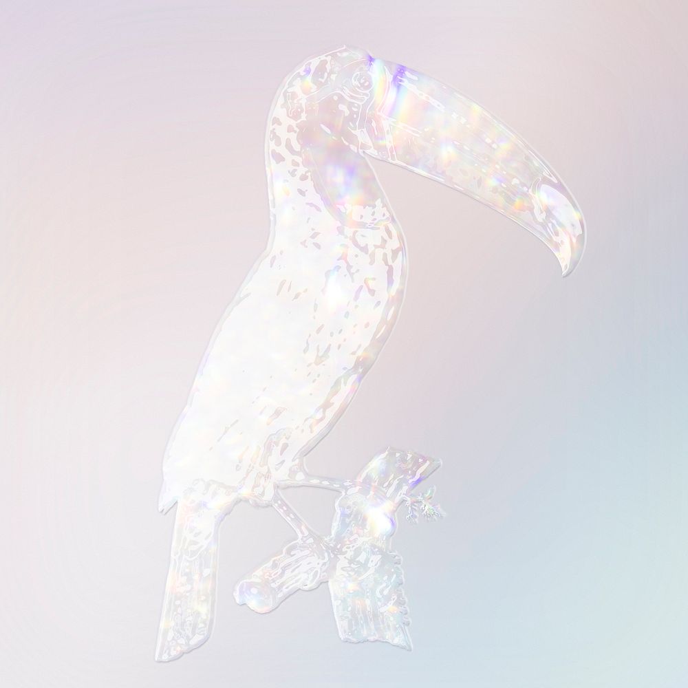 Silver holographic Toco toucan bird design element