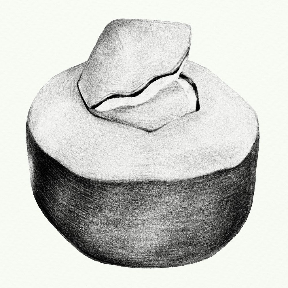 Black and white coconut drawing style illustration