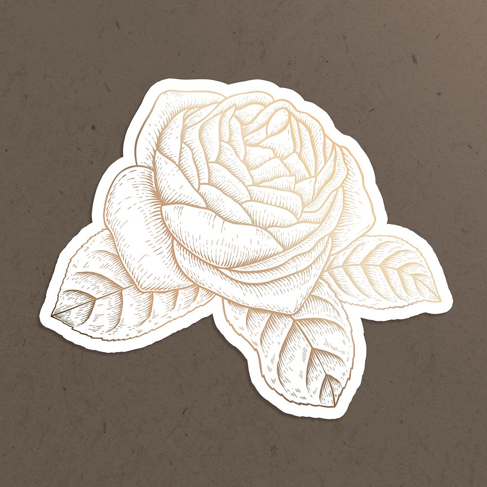 Shiny golden rose flower sticker overlay with a white border design resource