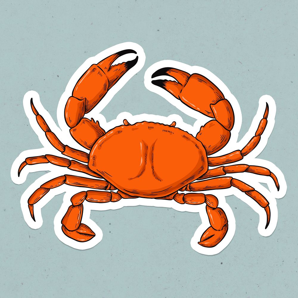 Psd cartoon sticker crab hand drawn vintage clipart