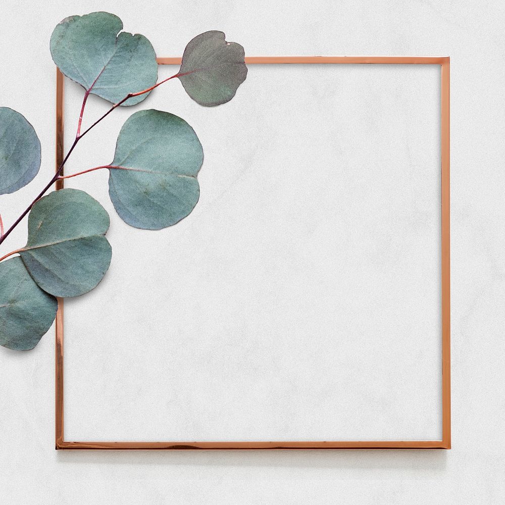 Gold frame with eucalyptus branch white background