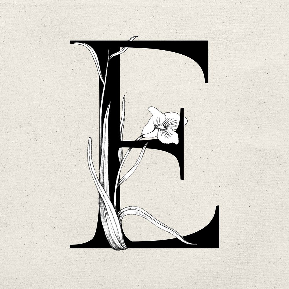 Font e vintage letter floral typography