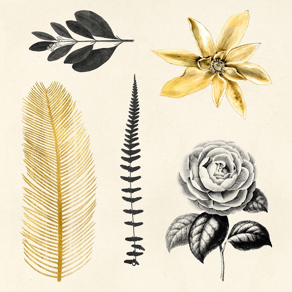 Flowers and leaf gold and black hand drawn botanical sticker set