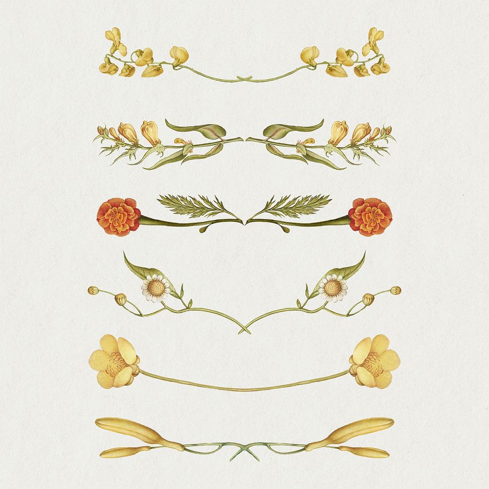 Vintage floral dividers, remix from The Model Book of Calligraphy Joris Hoefnagel and Georg Bocskay