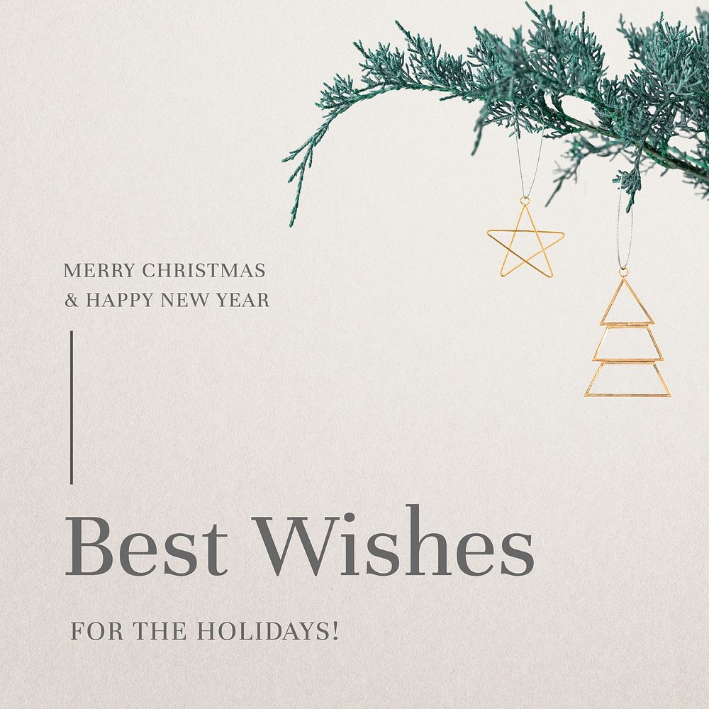 Simple Christmas greeting festive social media post