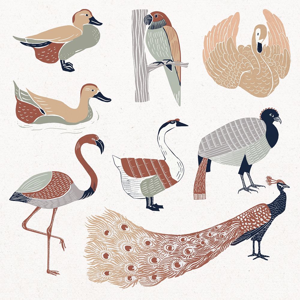 Vintage wild birds linocut style drawing set