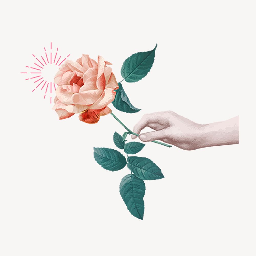 Hand holding rose, aesthetic collage element psd