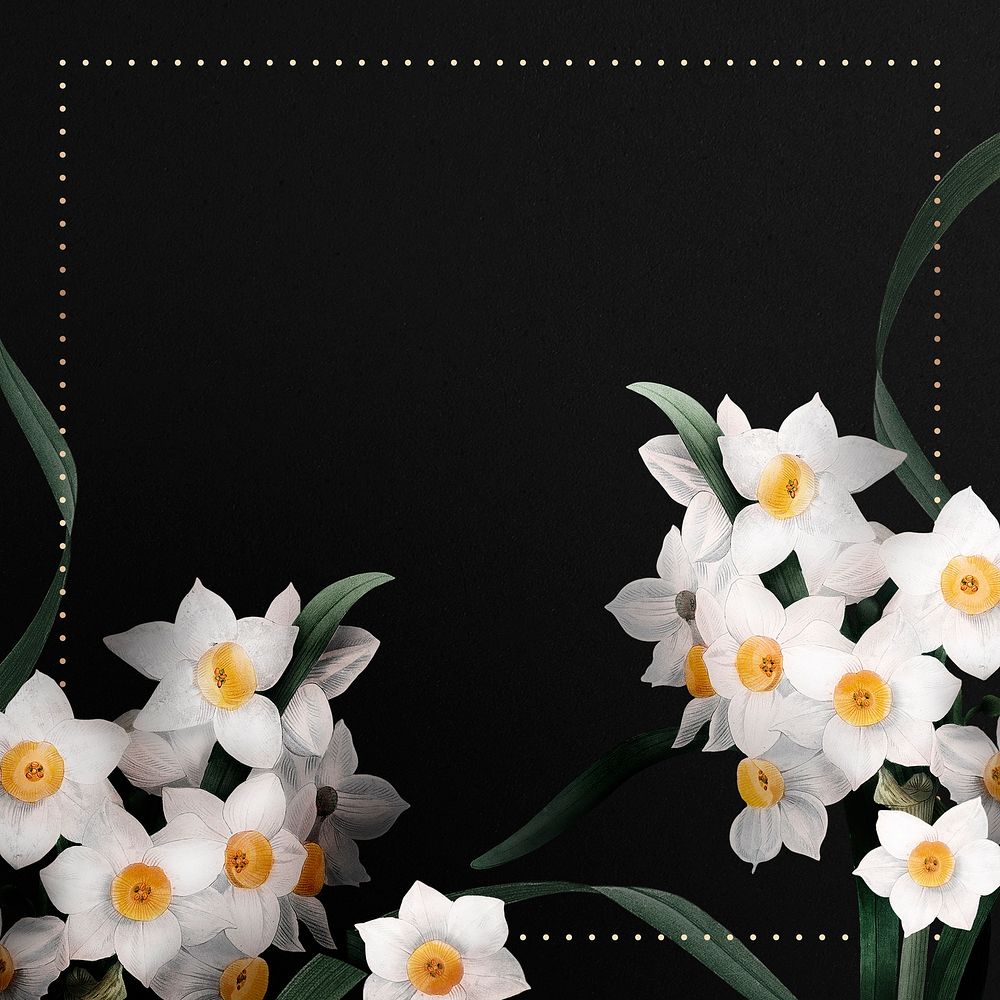 Daffodil border frame on black background