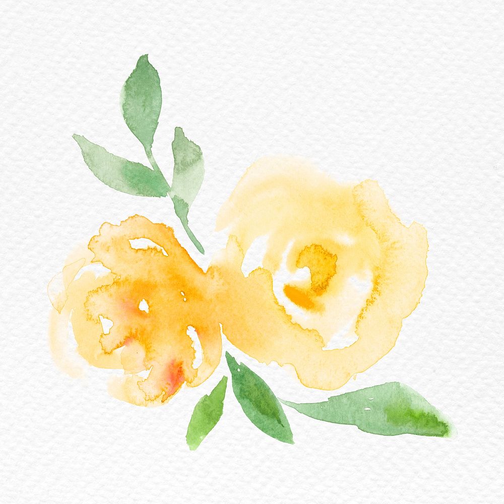 Yellow rose flower watercolor spring seasonal graphic