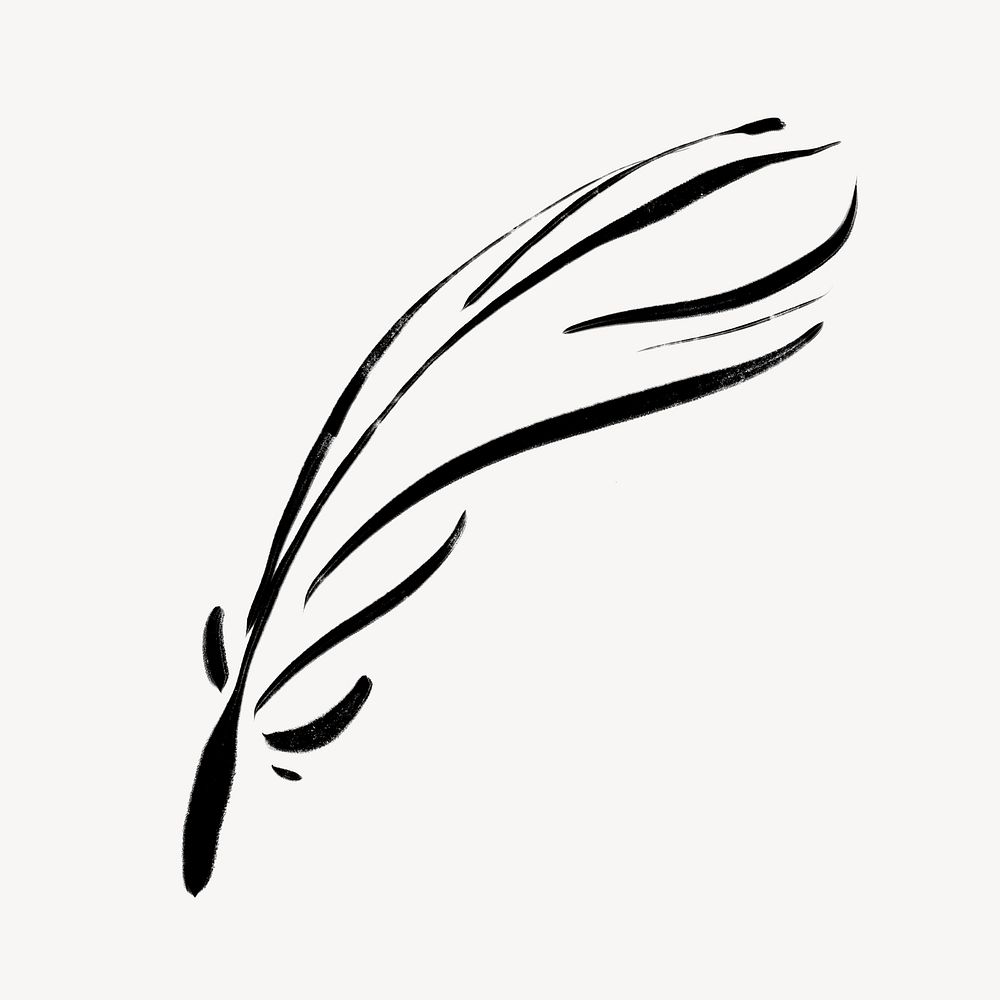 Feather  clipart, drawing illustration, black and white design