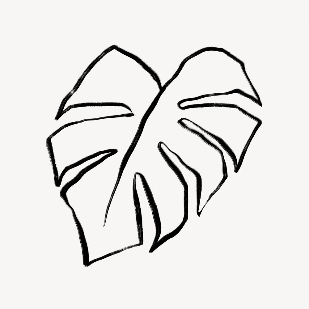 Monstera leaf collage element,  line art design  psd