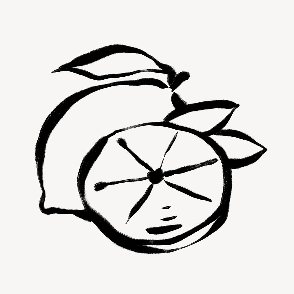 Lemon line art, fruit doodle illustration 