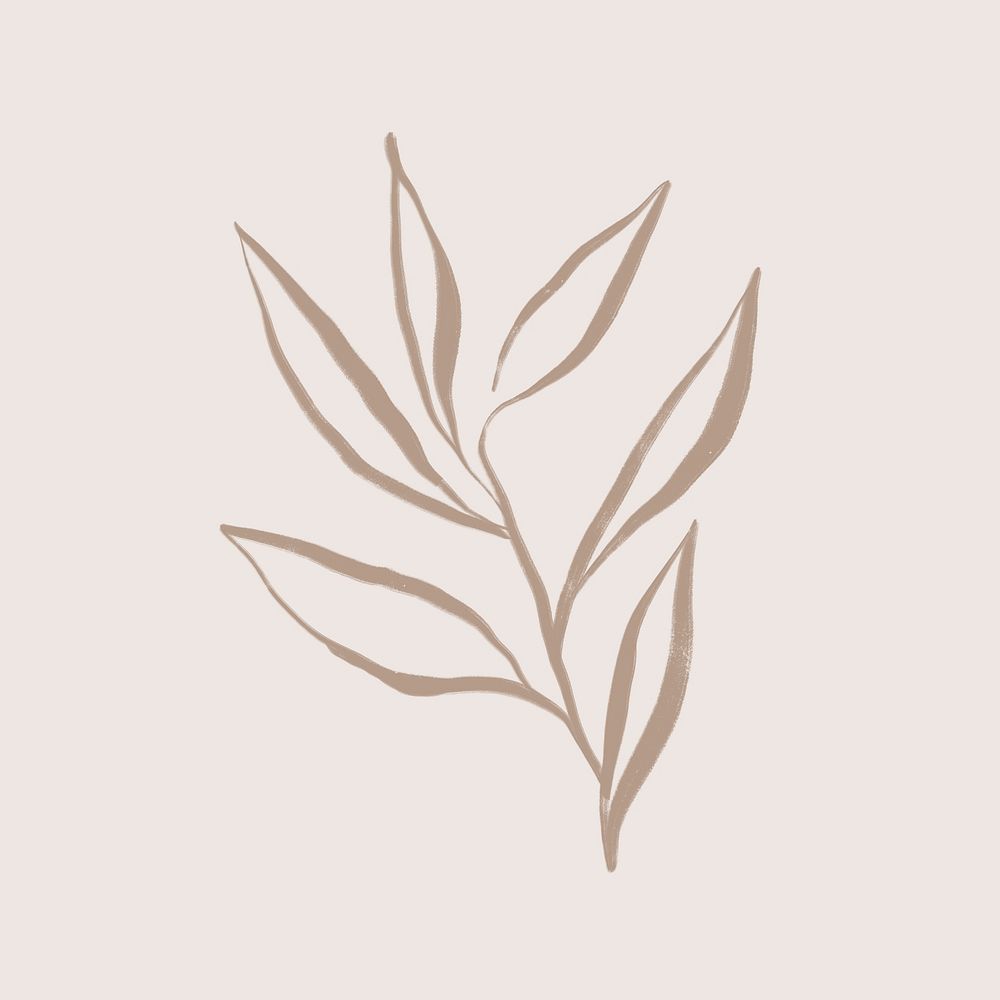Leaf doodle collage element, botanical illustration psd