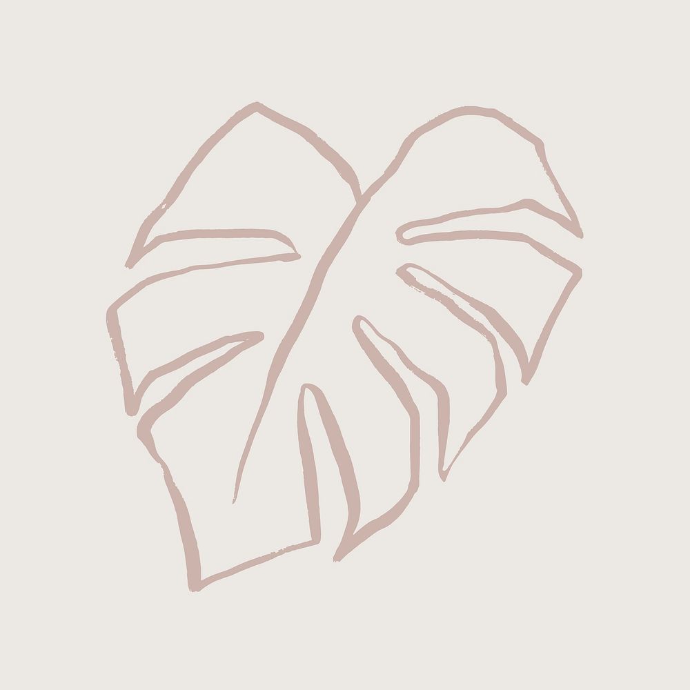 Monstera leaf line art, aesthetic botanical  illustration